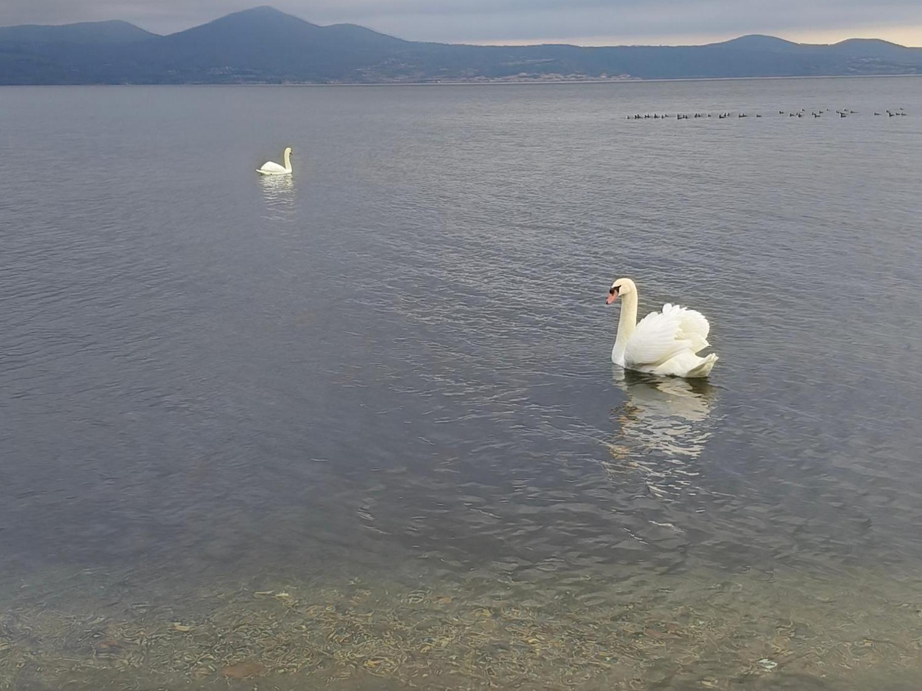 Appartamento La Mansarda Di Matteo Bracciano  Esterno foto